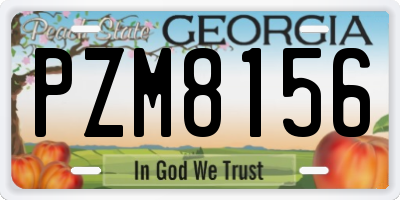 GA license plate PZM8156