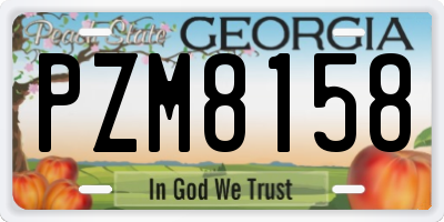 GA license plate PZM8158