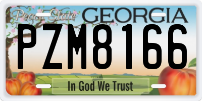 GA license plate PZM8166