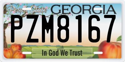 GA license plate PZM8167