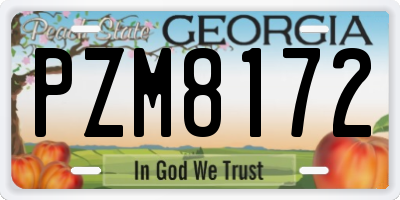GA license plate PZM8172