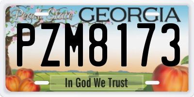 GA license plate PZM8173