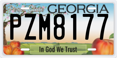 GA license plate PZM8177