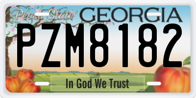 GA license plate PZM8182
