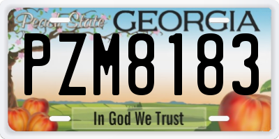 GA license plate PZM8183