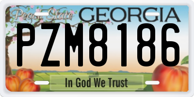 GA license plate PZM8186