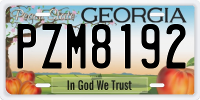 GA license plate PZM8192
