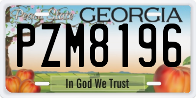 GA license plate PZM8196