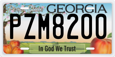 GA license plate PZM8200