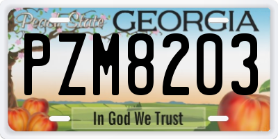 GA license plate PZM8203