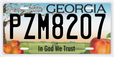 GA license plate PZM8207