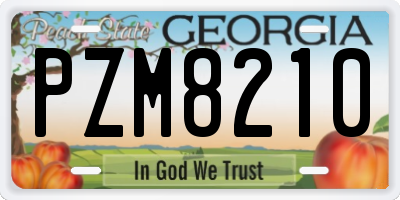 GA license plate PZM8210
