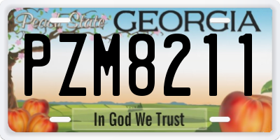 GA license plate PZM8211