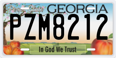 GA license plate PZM8212