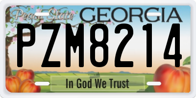 GA license plate PZM8214