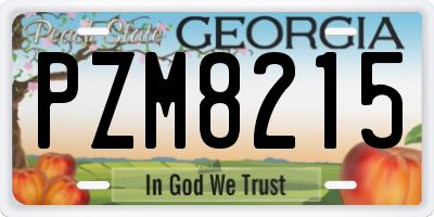 GA license plate PZM8215