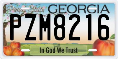 GA license plate PZM8216