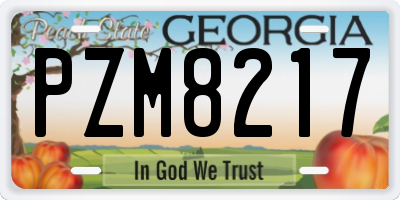 GA license plate PZM8217