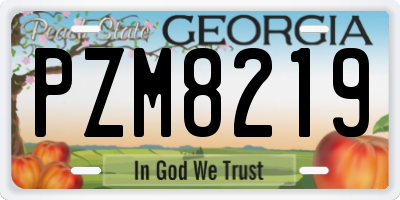 GA license plate PZM8219