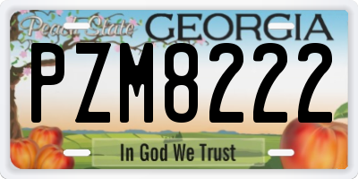 GA license plate PZM8222