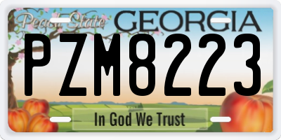GA license plate PZM8223