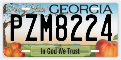 GA license plate PZM8224