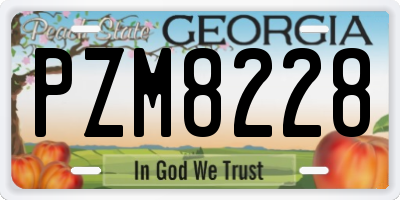 GA license plate PZM8228