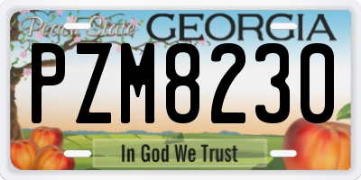 GA license plate PZM8230