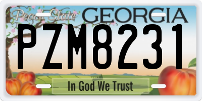 GA license plate PZM8231