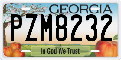 GA license plate PZM8232