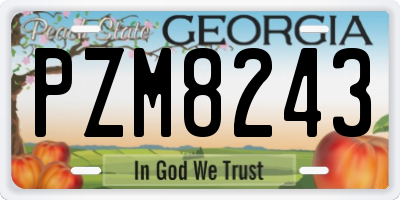 GA license plate PZM8243