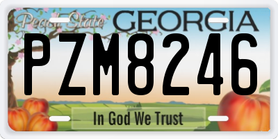 GA license plate PZM8246