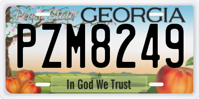 GA license plate PZM8249