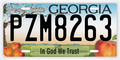 GA license plate PZM8263