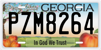 GA license plate PZM8264