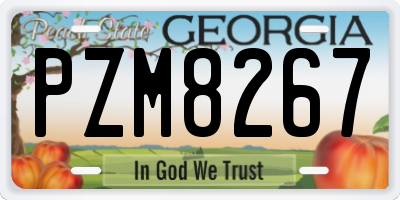 GA license plate PZM8267
