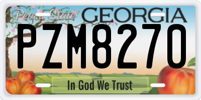 GA license plate PZM8270