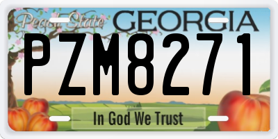 GA license plate PZM8271