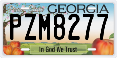 GA license plate PZM8277