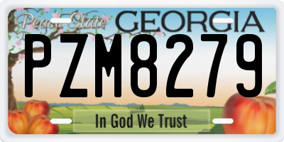 GA license plate PZM8279