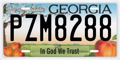 GA license plate PZM8288