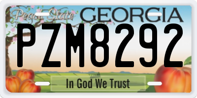 GA license plate PZM8292