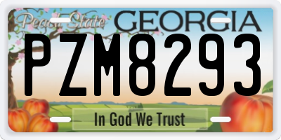 GA license plate PZM8293