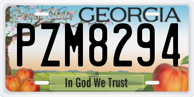 GA license plate PZM8294