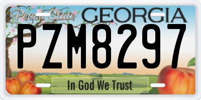 GA license plate PZM8297