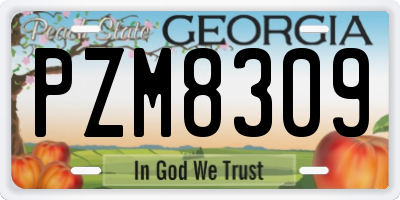 GA license plate PZM8309
