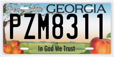 GA license plate PZM8311