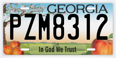 GA license plate PZM8312
