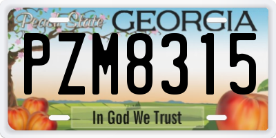 GA license plate PZM8315