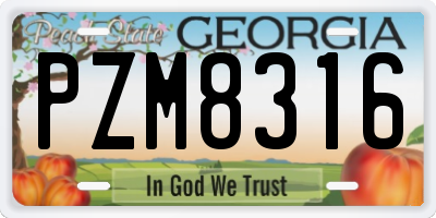 GA license plate PZM8316